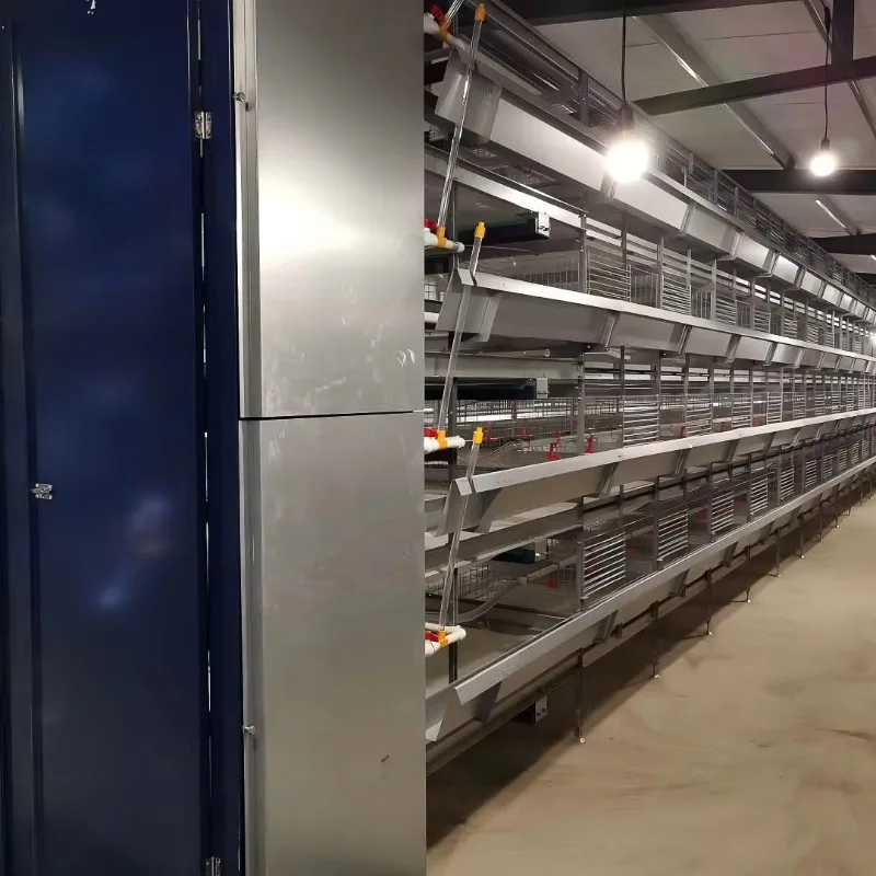 

4-Tier H Type Battery Cage for Chicken Layers Aviary for Poultry Farming New Condition Egg Chicken Cage