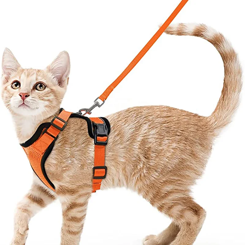 Katzengeschirr und Leine zum Spazierengehen, auslaufsichere, weiche, verstellbare Weste, Geschirre für Katzen, EasyControl