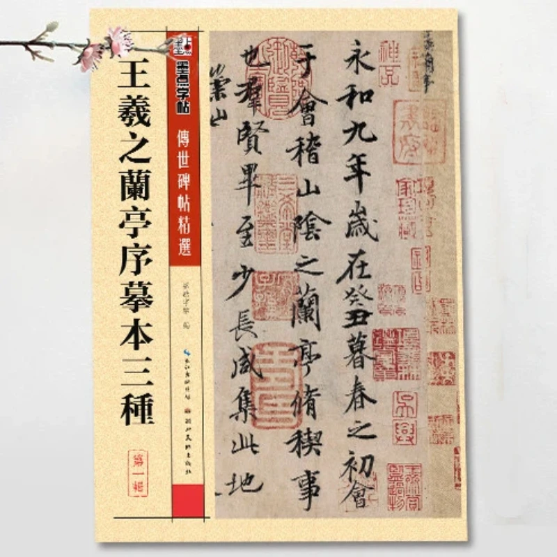 

Chinese Calligraphy Copybook of Famous Artists Stone Inscriptions and Rubbings for Zero-basic Beginners Learning and Practicing