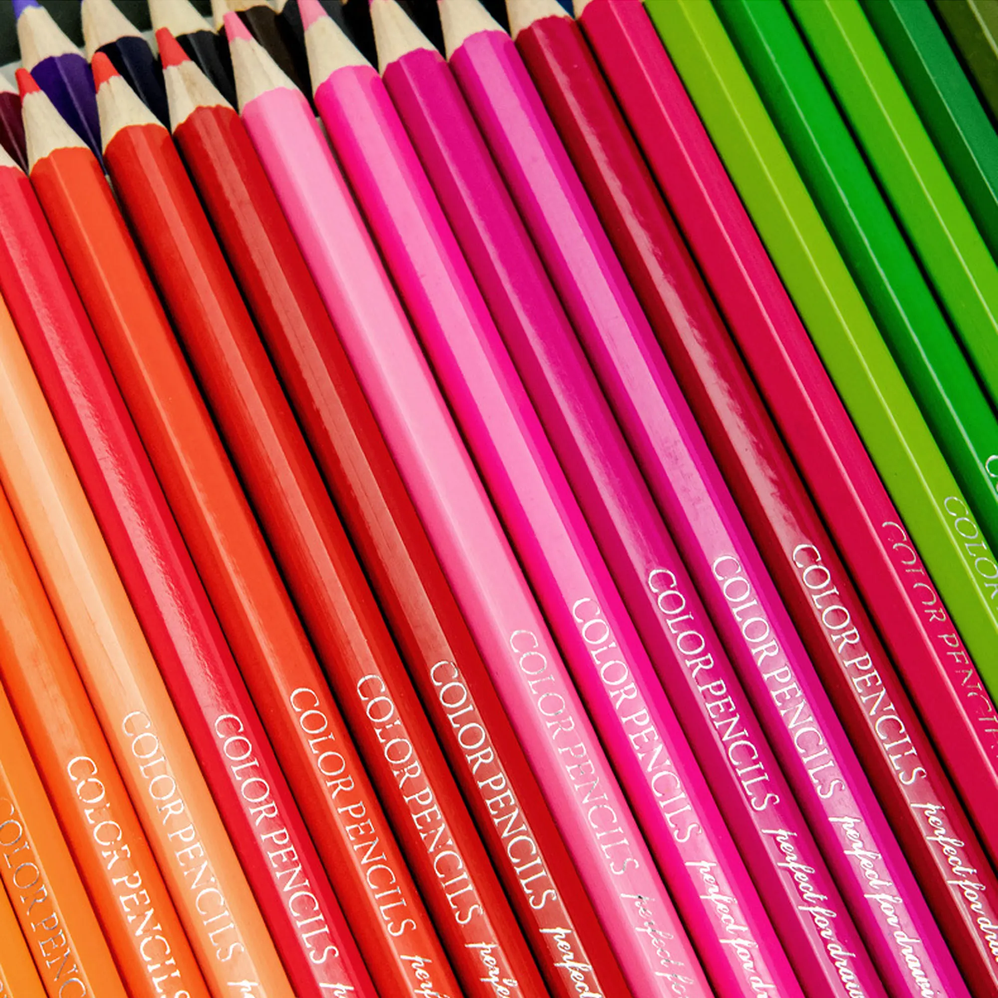 Premium Oil-Based Colored Pencils for Adults – Only 6.58 $ – Limited Time Deal