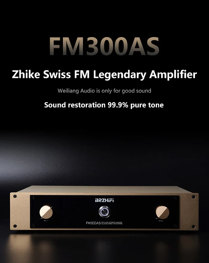 BRZHIFI High-Power Amplifier FM300AS Audiophile Hi-Fi Class A/B Post Stage Audio Direct-Cut Swiss FM Circuit Amplifier System
