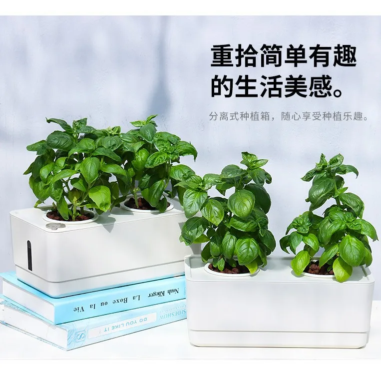 زارع الخضروات المائية آلة الزراعة المائية المنزلية معدات زراعة بدون تربة صندوق زراعة الزهور زهرة ذكية