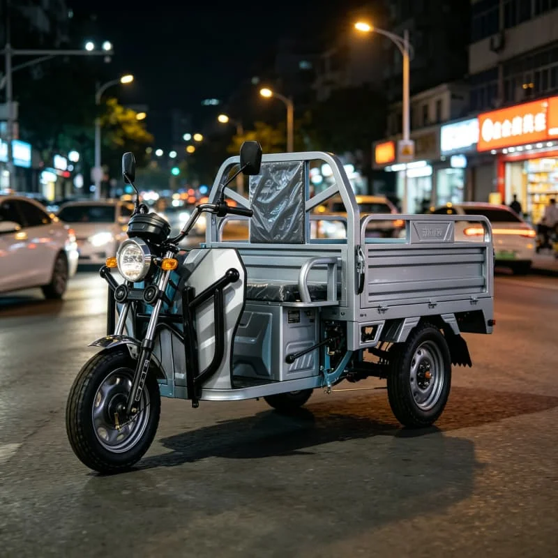 Light Electric Commuter Tricycle 60V 1000W Daily Travel Park Shopping Community Use Customized 3 Wheel Street Electric Vehicle