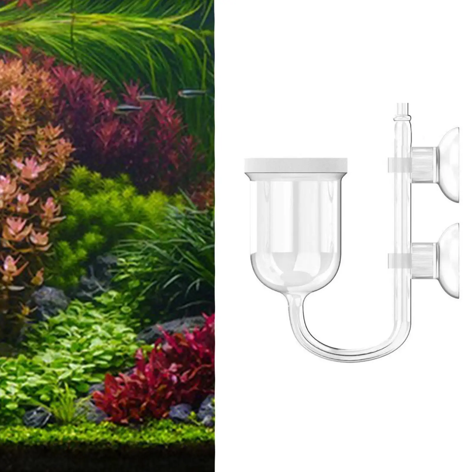 Glass CO2 Accessory…