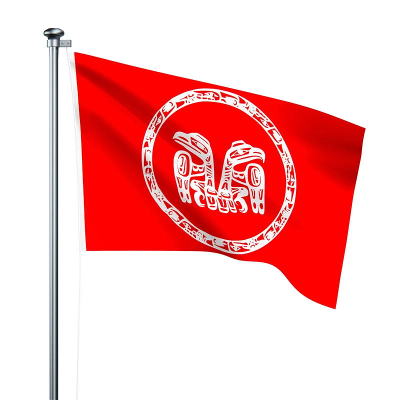 Gaslight Gatekeep Girlboss 5' x 3' Haida Indigenous Peoples of Canada Flag Banner 150cm x 90cm