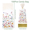 100pcs Candy Bag