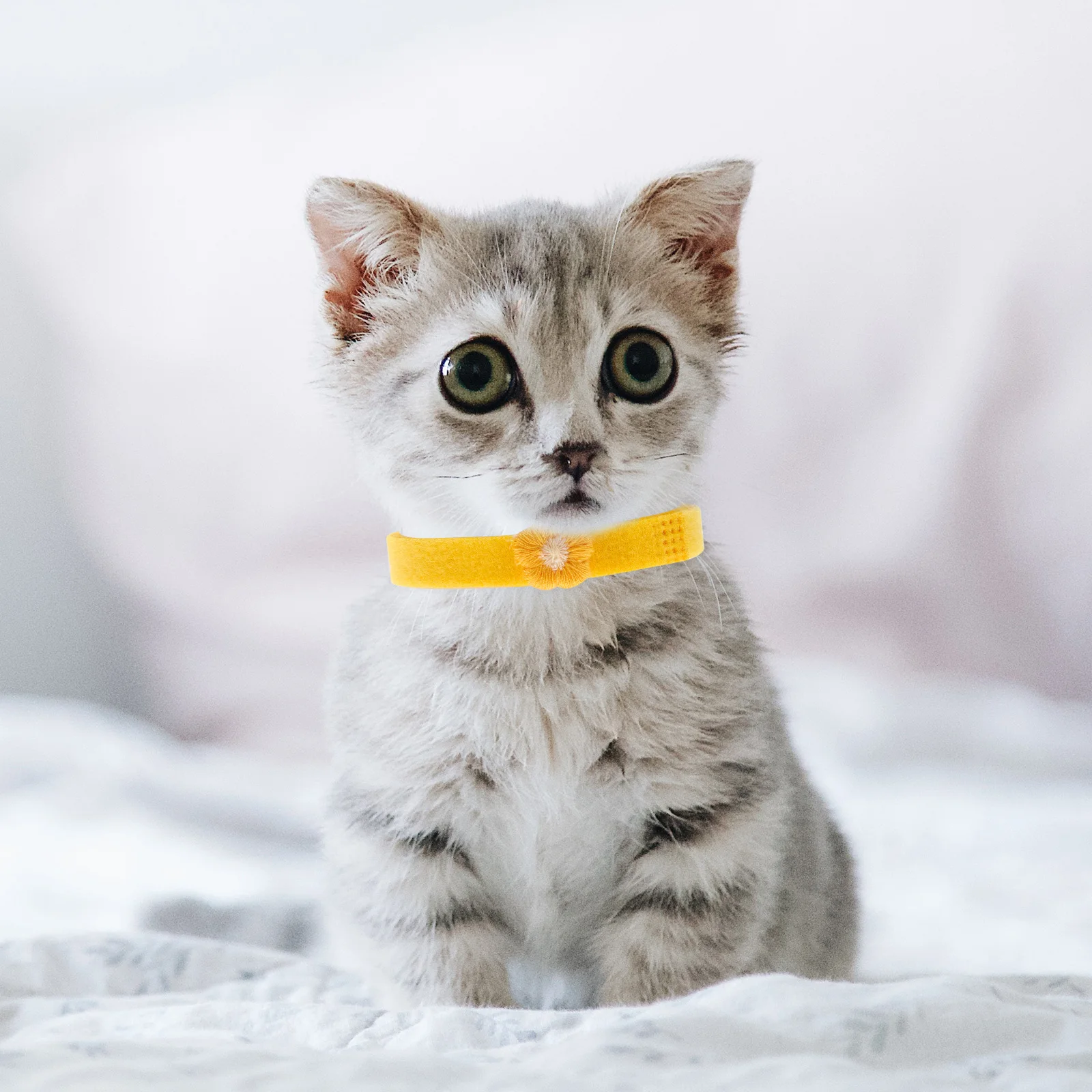 

1 Set Adjustable Newborn Puppy Identification Collar Pet Neck Tag Small Size For Dog Kitten Tracking Growth Monitoring Cute