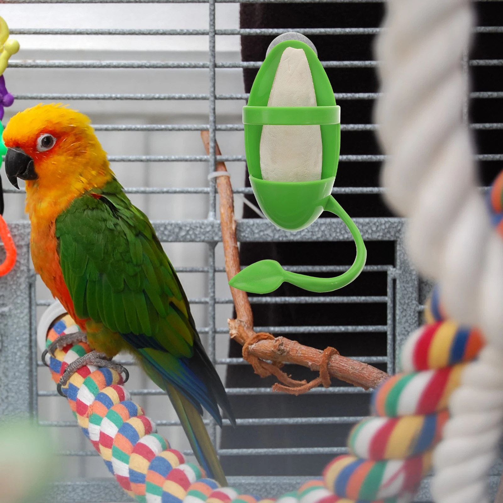 

1 set Bird Food Rack Cuttlefish Bone Durable Safe Pet Supplies Parrot Feeding Tool Cage Accessories Vegetable Holder