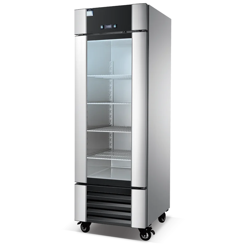 display door American Chinese refrigerators for sale freezer refrigeration equipment refrigerated