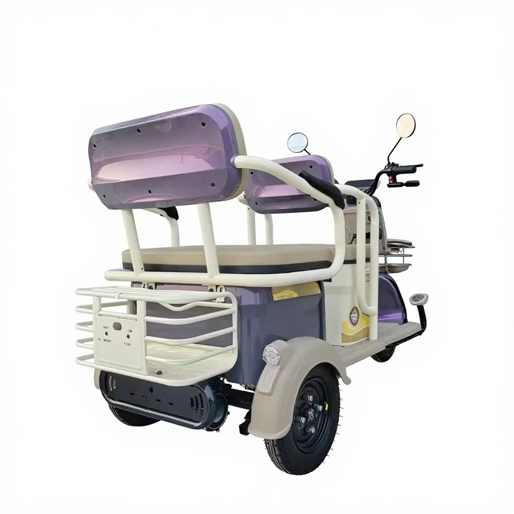 Three-wheeled Closed Body Electric Cargo Vehicles 48V/60V Battery 400kg Payload for Agricultural Household Use Adult