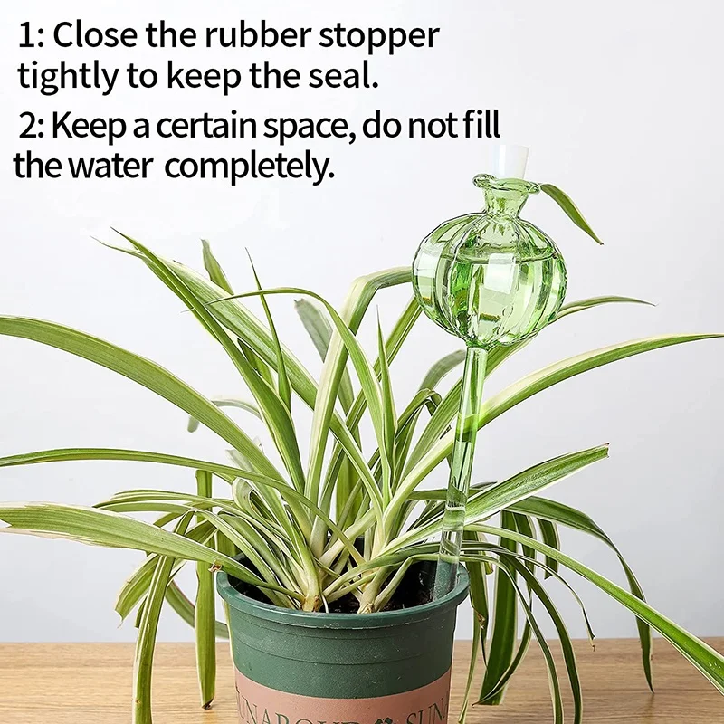 

Tulip Waterer Self-watering Plant Bulbs Watering Perfect Watering Tool For Your Plants Self Watering Bulbs For Garden Plants