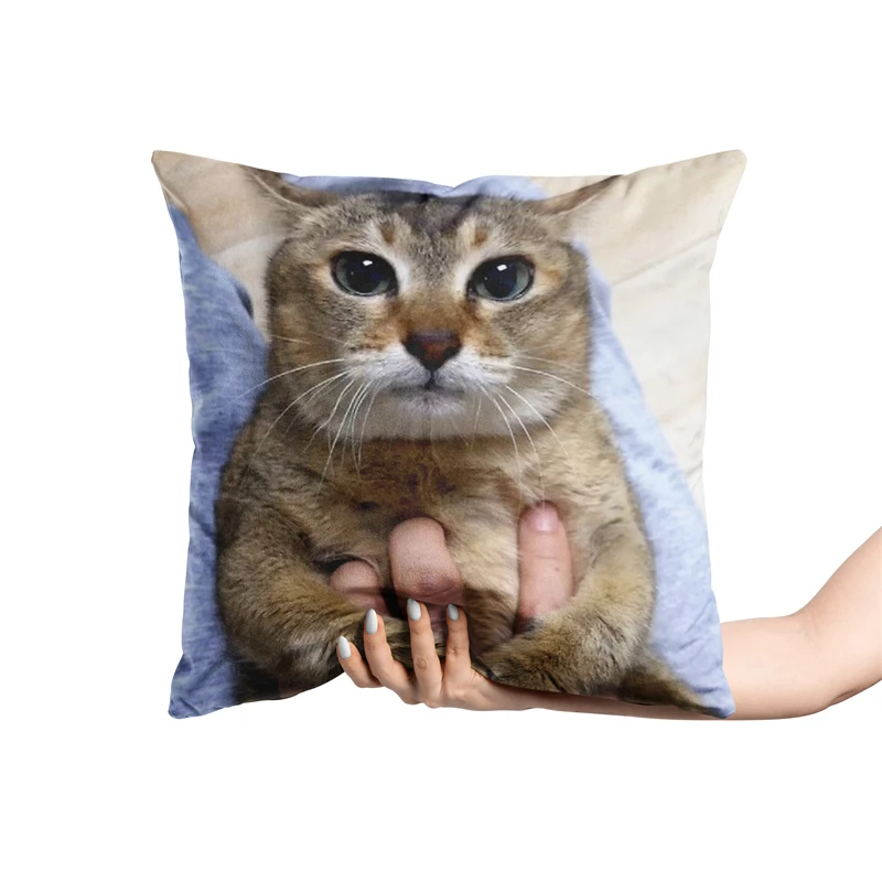 Aertemisi 18\'\' x 18\'\' Tole Tole Cat Mei Mei Cat Square Throw Pillow Cushion Covers Cases Pillowcases for Sofa 45cm x 45cm