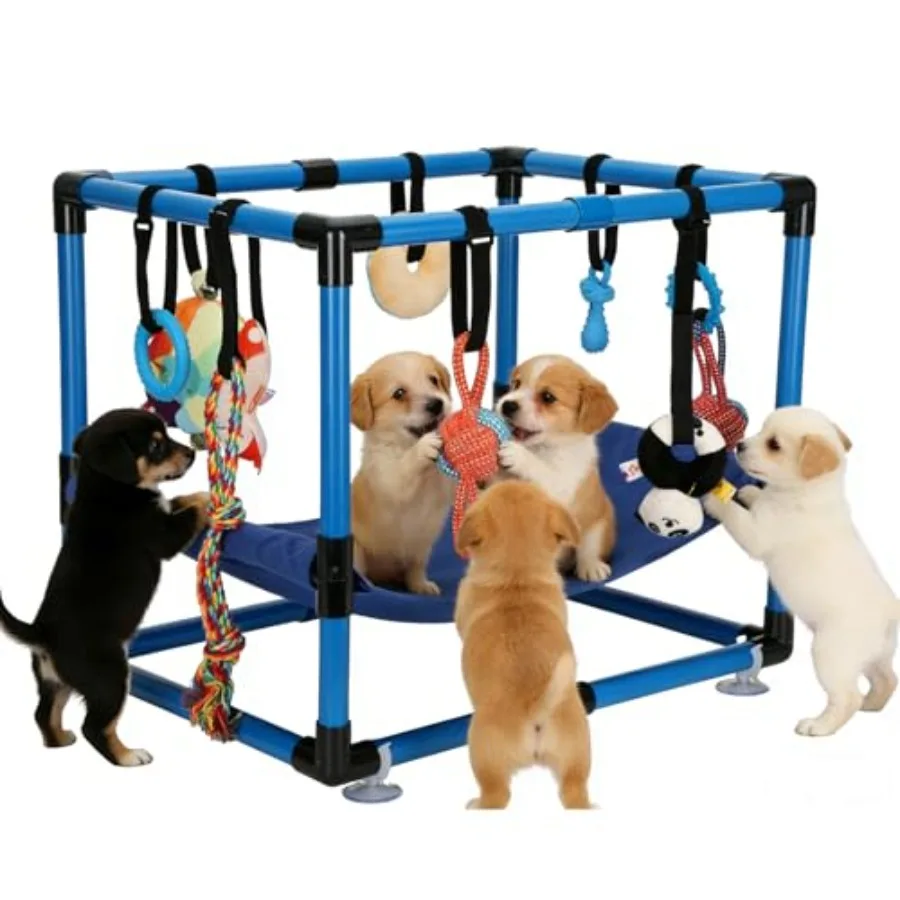 

Play with 8 Hanging Toys Dog Jungle Indoor with Hammock and Funny Enrichment Toys PVC Frame Activities Center for Puppies