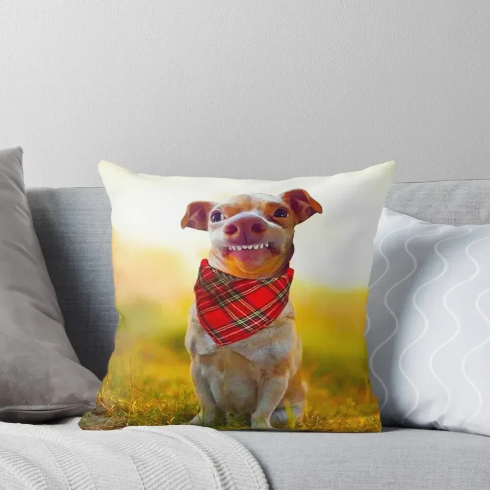 

Funny Dog Throw Pillow Pillow Covers Decorative autumn decoration Sofa Covers For Living Room pillow