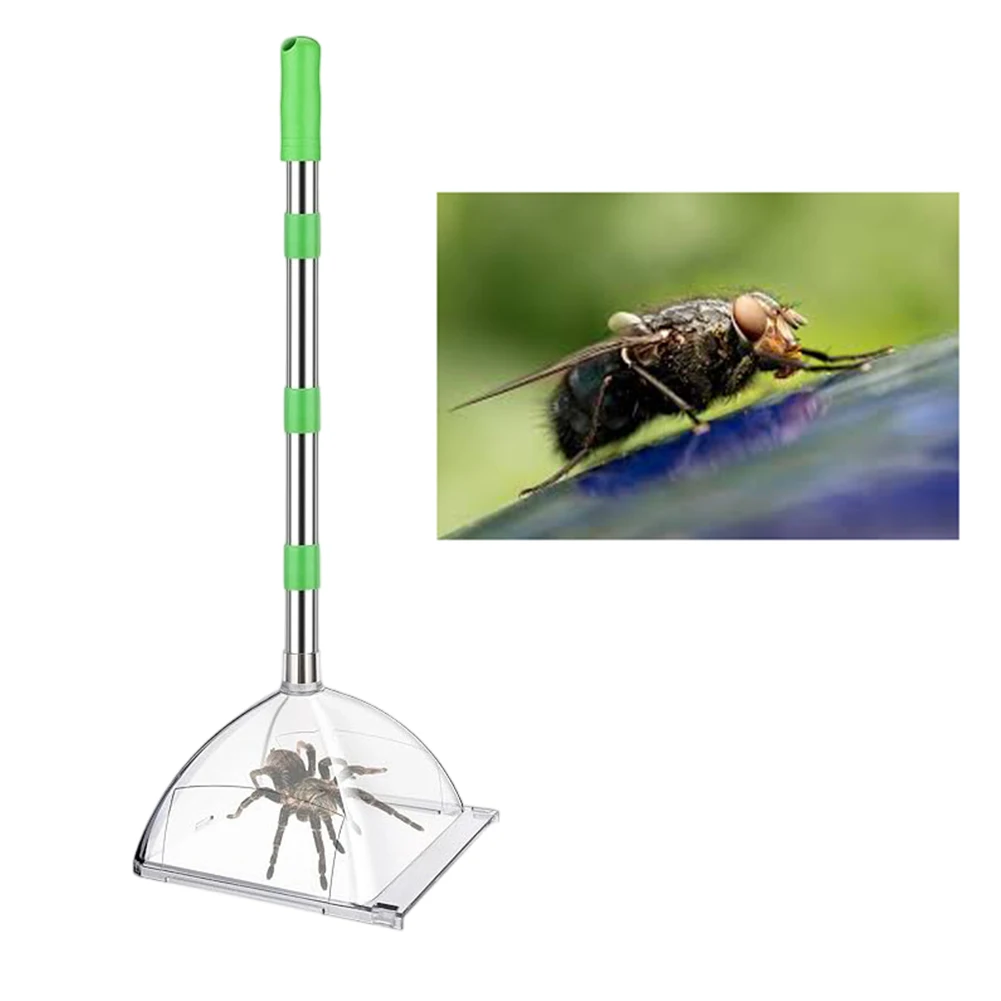

Contactless Insect Catcher Adjustable Insect Catcher For Home Use 82cm Catching Range Easy Release Educational Tool