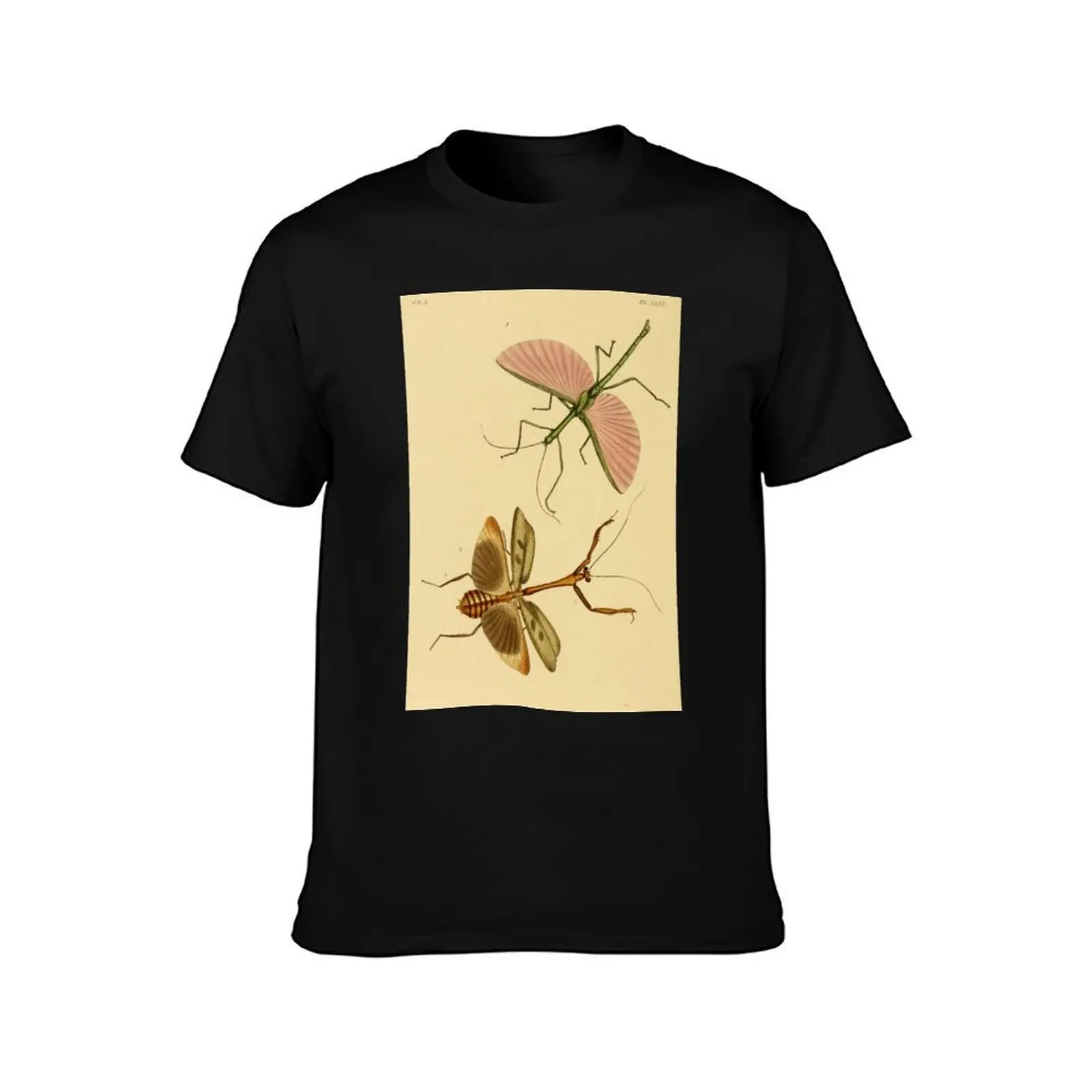 Naturalist Stick Insects T-Shirt, Summer Casual Cotton Tee, Oversized Streetwear Tops, Vintage Graphic Print, Unisex Men Women