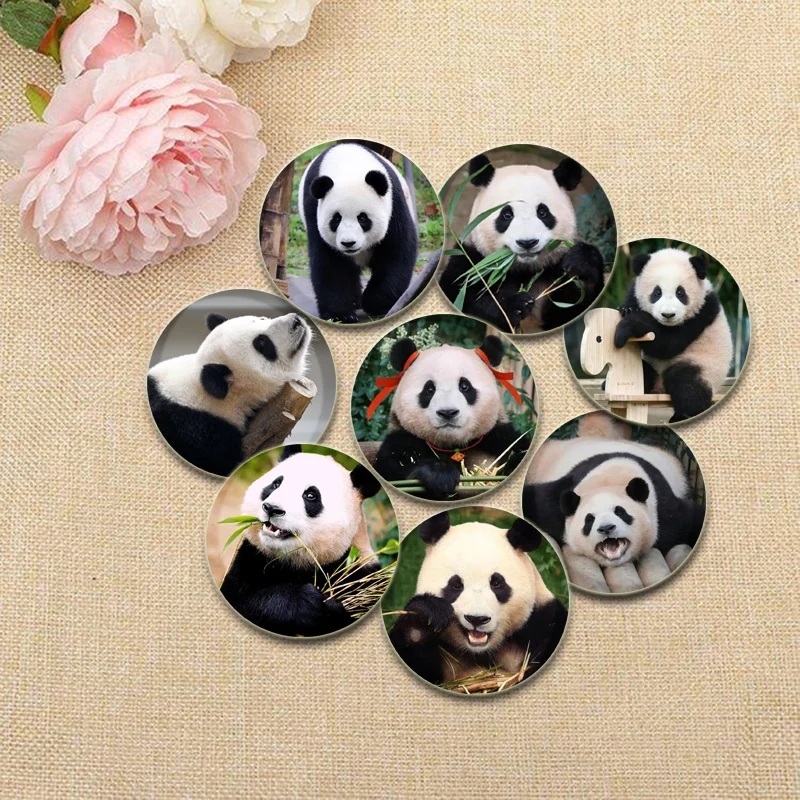 Cute Giant Pandas B… - image