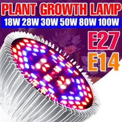 E27 LED Plant Grow Light Full Spectrum Phytolamp E14 Indoor Flower Seedling Hydroponic Cultivation Vegetables Growbox Fluorolamp