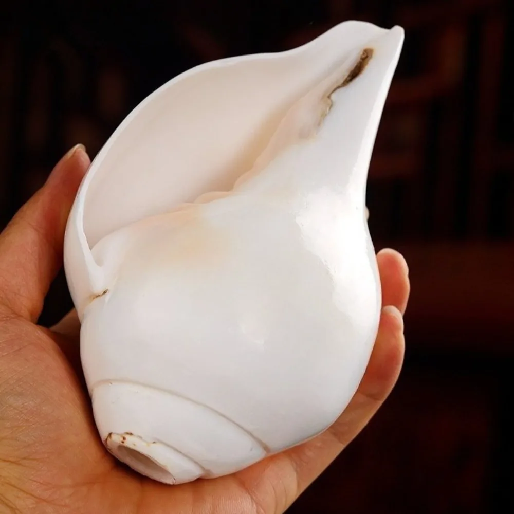 Nepalese Handmade White Conch Sculptures Meditation Living Room Modern Conches Figurines Healing Home Decoration Ornaments
