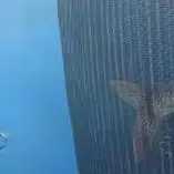 ΠΠ»Π°Π²Π°ΡΡΠ°Ρ ΠΊΠΎΡΠ·ΠΈΠ½Π° Π΄Π»Ρ ΡΡΠ±ΠΎΠ»ΠΎΠ²Π½ΠΎΠΉ ΠΏΡΠΈΠΌΠ°Π½ΠΊΠΈ, ΡΠ΅ΡΡΠ°ΡΡΠΉ ΡΠΊΠ»Π°Π΄Π½ΠΎΠΉ Π΄Π΅ΡΠΆΠ°ΡΠ΅Π»Ρ Π΄Π»Ρ ΡΡΠ±Ρ, ΡΠΊΠ»Π°Π΄Π½ΠΎΠΉ Π΄Π΅ΡΠΆΠ°ΡΠ΅Π»Ρ Π΄Π»Ρ ΡΡΠ±Π°Π»ΠΊΠΈ, Π²Π΅Π΄ΡΠΎ Ρ ΠΏΡΠΎΡΠ½ΠΎΠΉ ΡΠ΅ΡΠΊΠΎΠΉ Π΄Π»Ρ Π»ΠΎΠ²Π»ΠΈ ΡΡΠ±Ρ ΠΠ»Π°Π²Π°ΡΡΠ°Ρ ΠΊΠΎΡΠ·ΠΈΠ½Π° Π΄Π»Ρ ΡΡΠ±ΠΎΠ»ΠΎΠ²Π½ΠΎΠΉ ΠΏΡΠΈΠΌΠ°Π½ΠΊΠΈ, ΡΠ΅ΡΡΠ°ΡΡΠΉ ΡΠΊΠ»Π°Π΄Π½ΠΎΠΉ Π΄Π΅ΡΠΆΠ°ΡΠ΅Π»Ρ Π΄Π»Ρ ΡΡΠ±Ρ, ΡΠΊΠ»Π°Π΄Π½ΠΎΠΉ Π΄Π΅ΡΠΆΠ°ΡΠ΅Π»Ρ Π΄Π»Ρ ΡΡΠ±Π°Π»ΠΊΠΈ, Π²Π΅Π΄ΡΠΎ Ρ ΠΏΡΠΎΡΠ½ΠΎΠΉ ΡΠ΅ΡΠΊΠΎΠΉ Π΄Π»Ρ Π»ΠΎΠ²Π»ΠΈ ΡΡΠ±Ρ