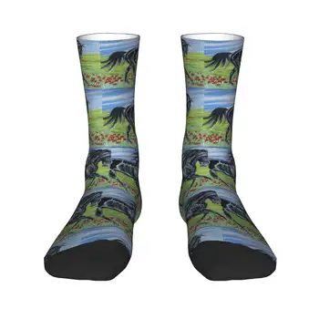 10 最佳銷售 客製化襪子 - №4