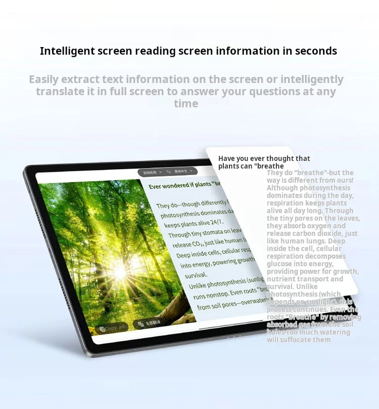 Lenovo Xiaoxin Pad 12.1 Tablet 2.5K Display 10200mAh Large Battery 4 Speakers For Study Entertainment