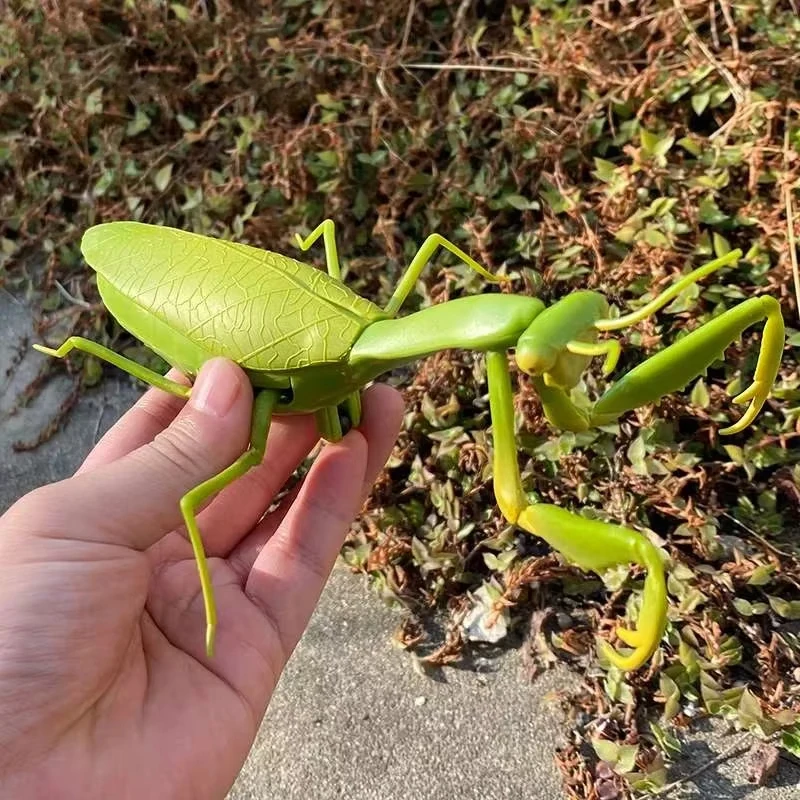 

Инфракрасный пульт дистанционного управления, имитация тараканов, животное, жуткий паук, жук, розыгрыш, забавная радиоуправляемая детская игрушка, подарок, высокое качество, Прямая поставка