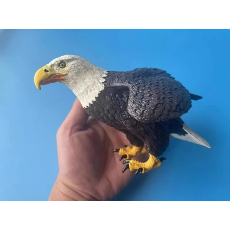 

1/6 Scale Large Raptor Bald Eagle Simulation Animal Sea Eagle Model for 12inch BJD Action Figures Scene Ornament