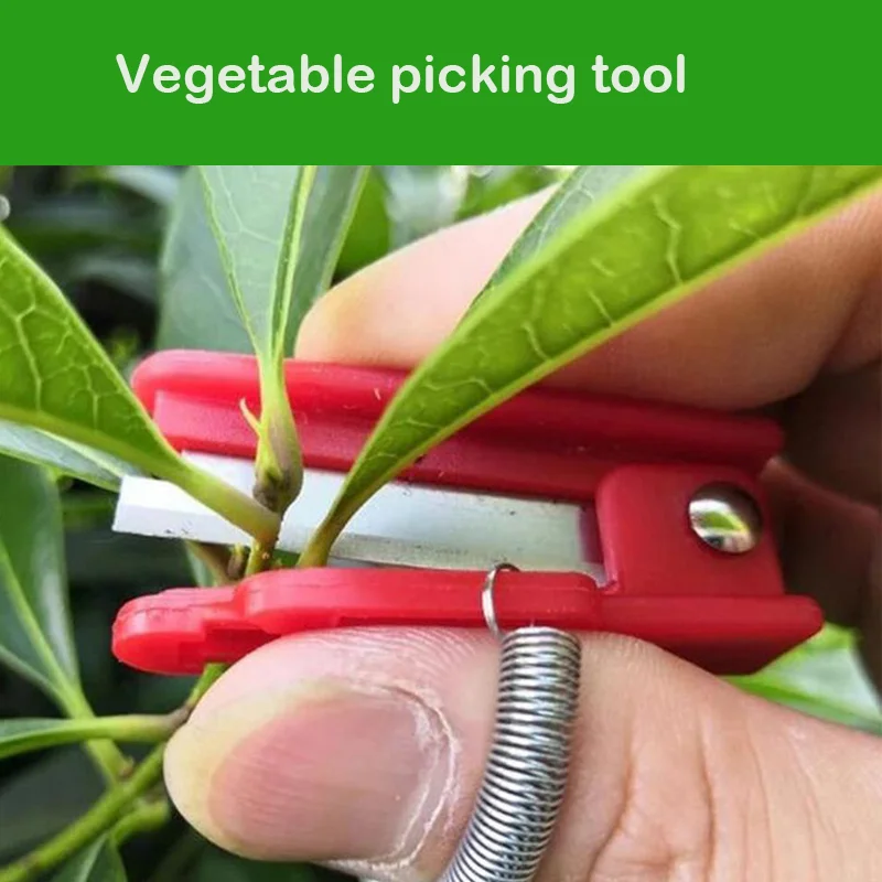 Knife Separator Vegetable Fruit Harvesting Picking Tool for Farm Garden Orchard Vegetable Thump Knife