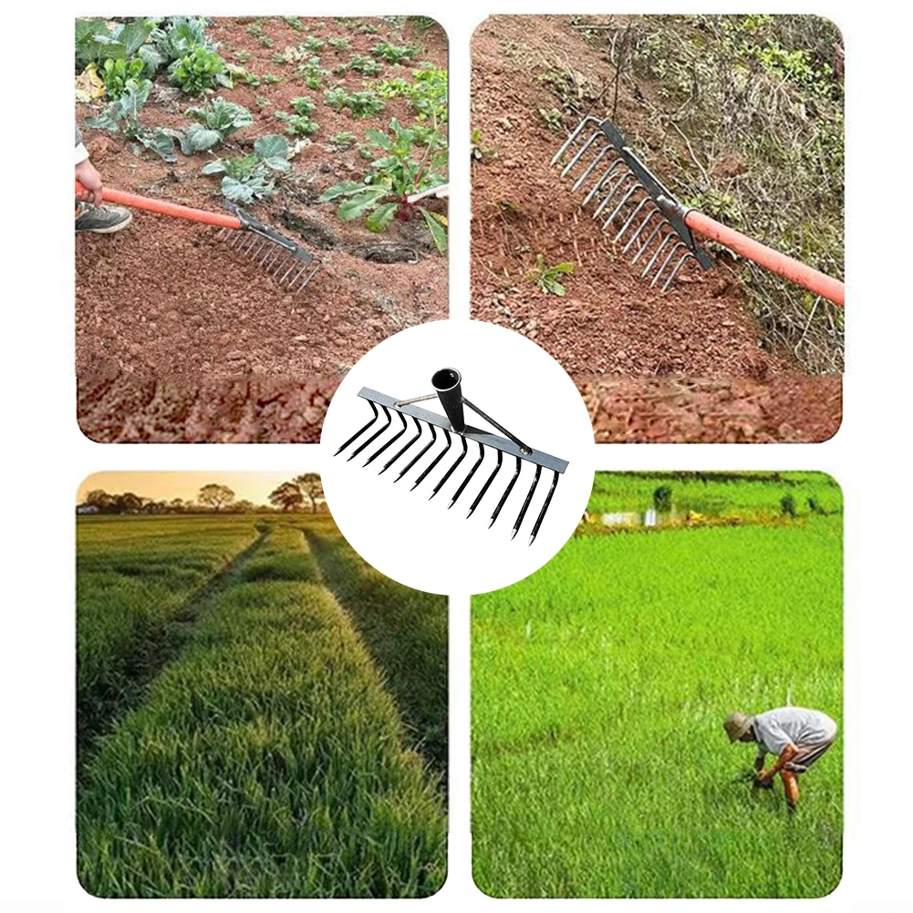 

High Carbon Steel Gardening Weeding Rake Labour-Saving 4/7/9/12 Teeth Loose Soil Nail Rake Dethatching Rake Agricultural Tools