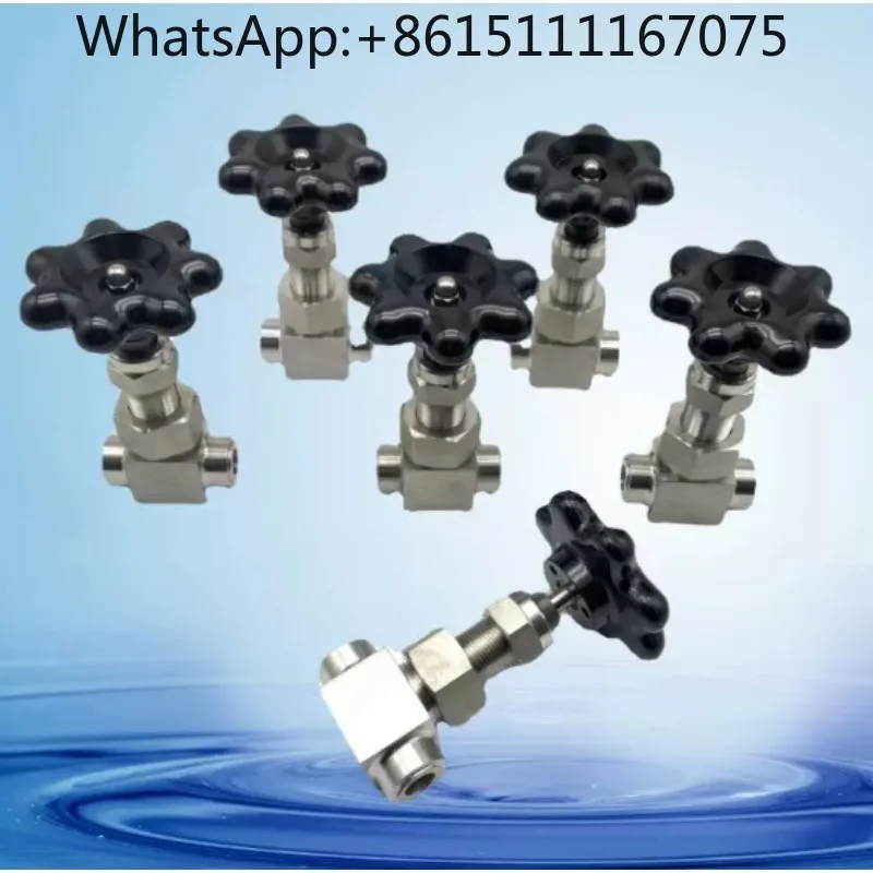 316SS‑GC DN6 High Temperature High Pressure Globe Valve Socket‑Weld Spherical Seal Valve for Water Vapor Sampling System
