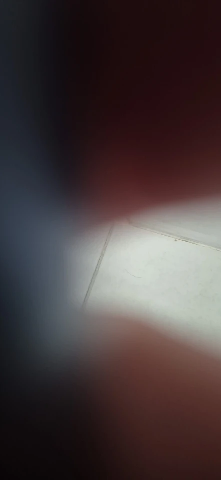 실물 포토 리뷰