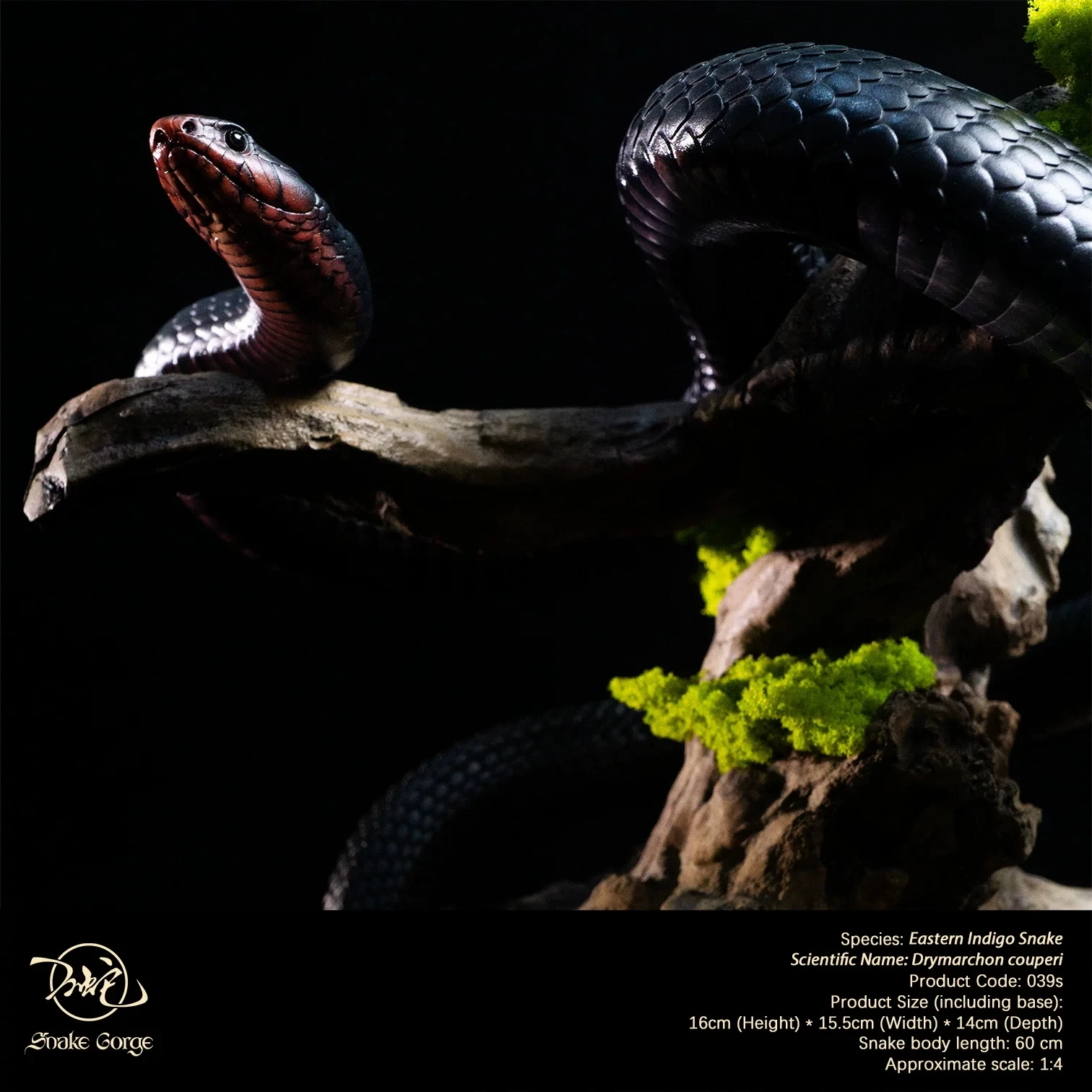 Snakegorge Studio 1:4 Scale Eastern Indigo Snake Model Drymarchon Couperi Resin Miniature Landscape Decor Realistic Animal
