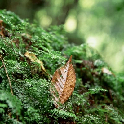 

1 комплект, 120 А, бесщеточный двигатель ESC, пульт дистанционного управления, передатчик, приемник, металлический рулевой механизм для Wltoys XKS 144001 1/14, радиоуправляемый автомобиль