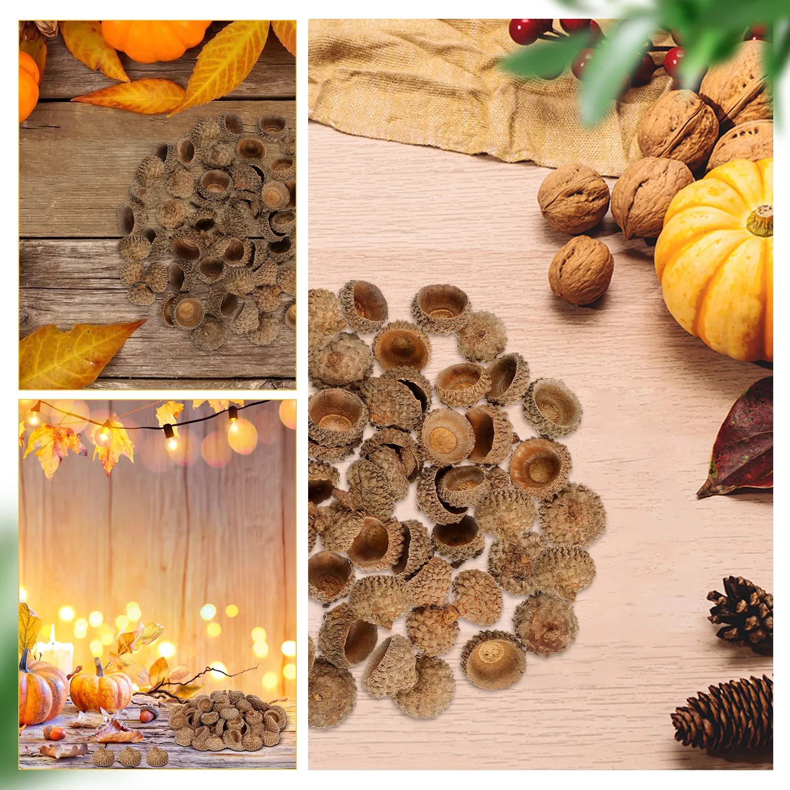 150 Stück rustikale Eicheln, n – Dried Fruit Bewertung und Preis