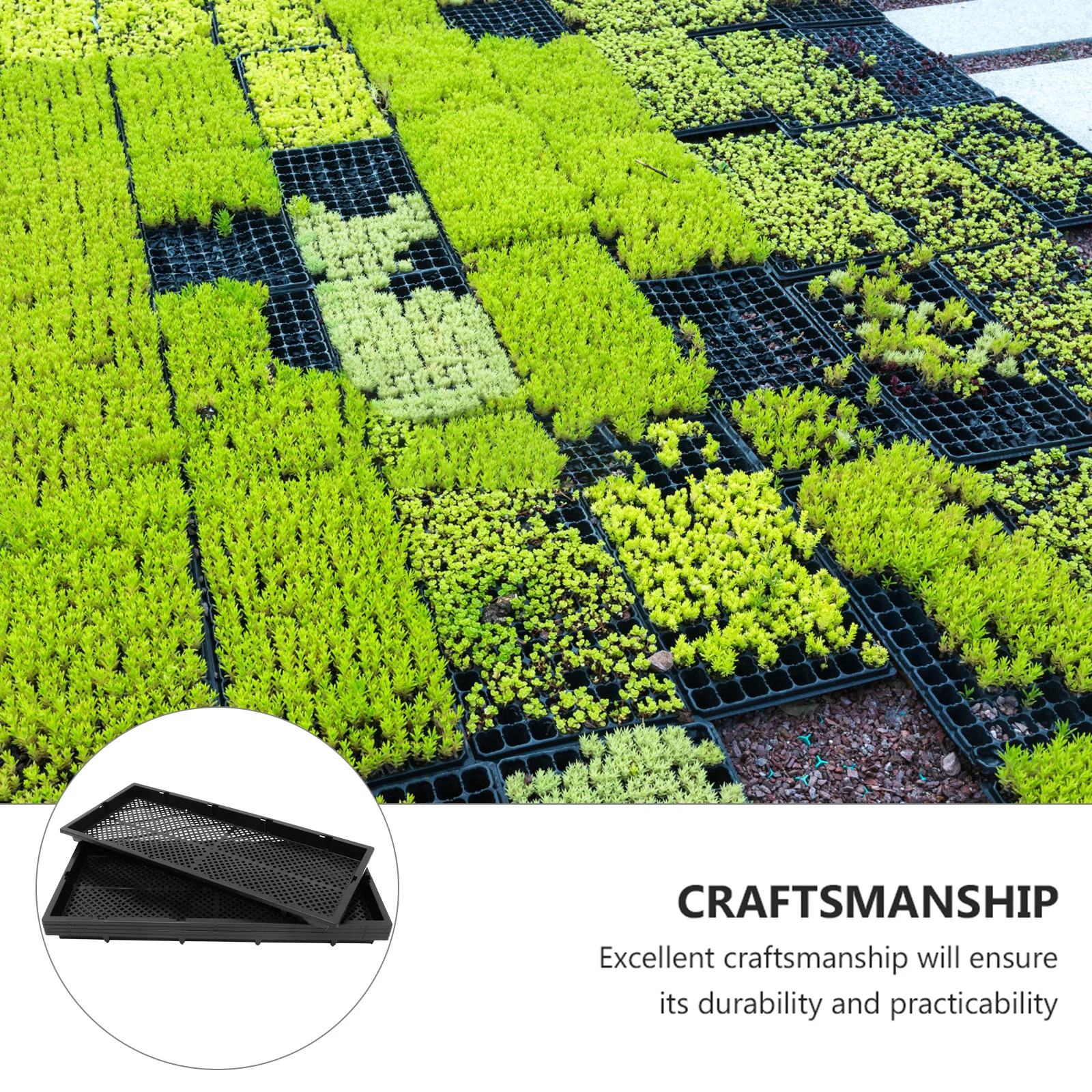 

5pcs Seedling Trays Thickened Plant Germination For Home Garden Hydroponic Nursery Tray Plastic Gardening Planting Tray