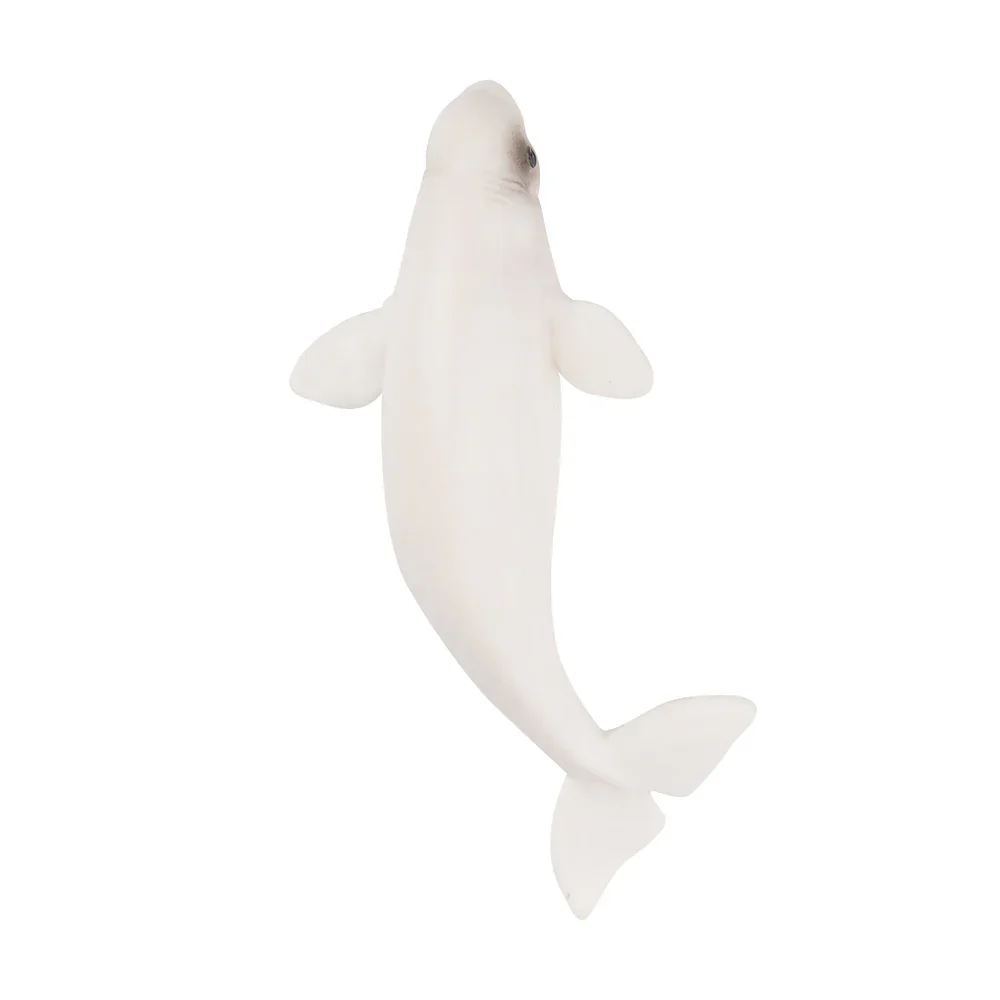 Toymany محاكاة بيلوغا المحيط نماذج للحيوانات لعبة شخصيات صغيرة دمى عمل التماثيل لعب الأطفال هدية كعكة الديكور #4