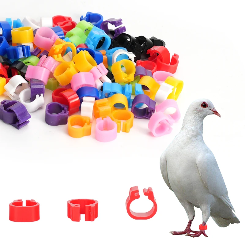 100 Pcs Pigeons Rings 8mm Bayonet Identification Ring Opening Pigeon Ring Color Pigeon Foot Ring Pigeon Supplies Bird Appliances