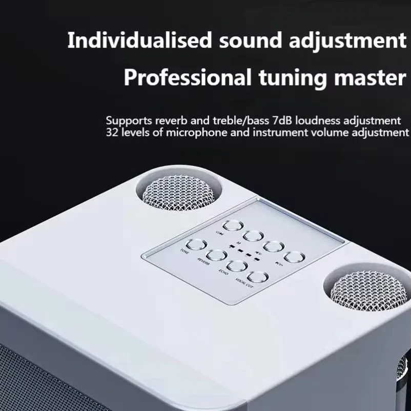 10W Powerful Wireless Portable Dual Microphone Bluetooth Sound Outdoor Family Party Karaoke Subwoofer Boom Box with 2 Microphone image 5