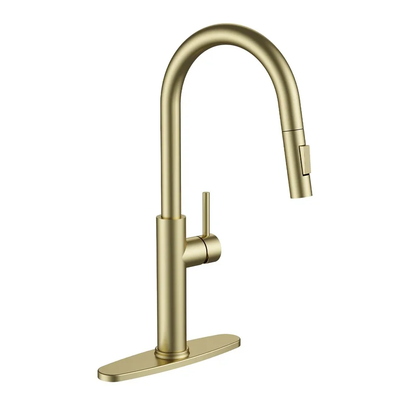 

Brushed Gold Pull Down Kitchen Faucet with Spray Head