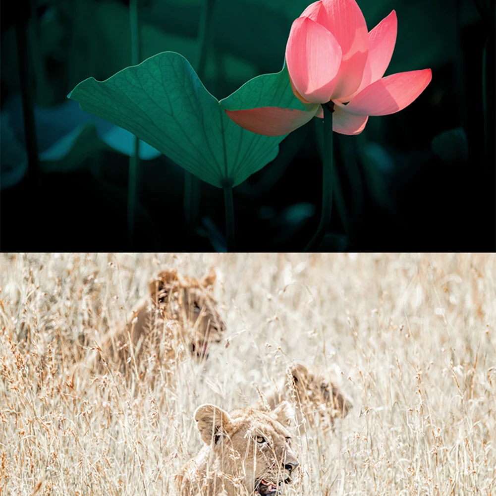 

Профессиональный астрономический телескоп, мощный монокуляр, портативный, HD, для наблюдения за Луной, космосом и планетами, подарок для детей