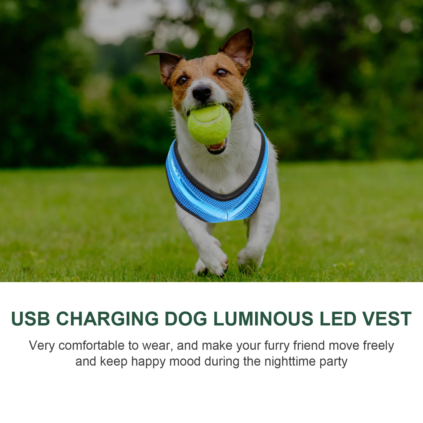 

1Set LED Pet Dog Vest USB Charging Luminous Design Comfort Fit for Nighttime Use Trendy Puppy Vest for Walking Safety