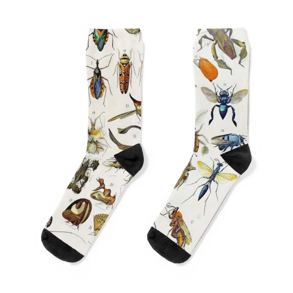 

adolphe millot prints, adolphe illustrations, art, artist, paintings Socks floor custom sports Socks For Men Women's