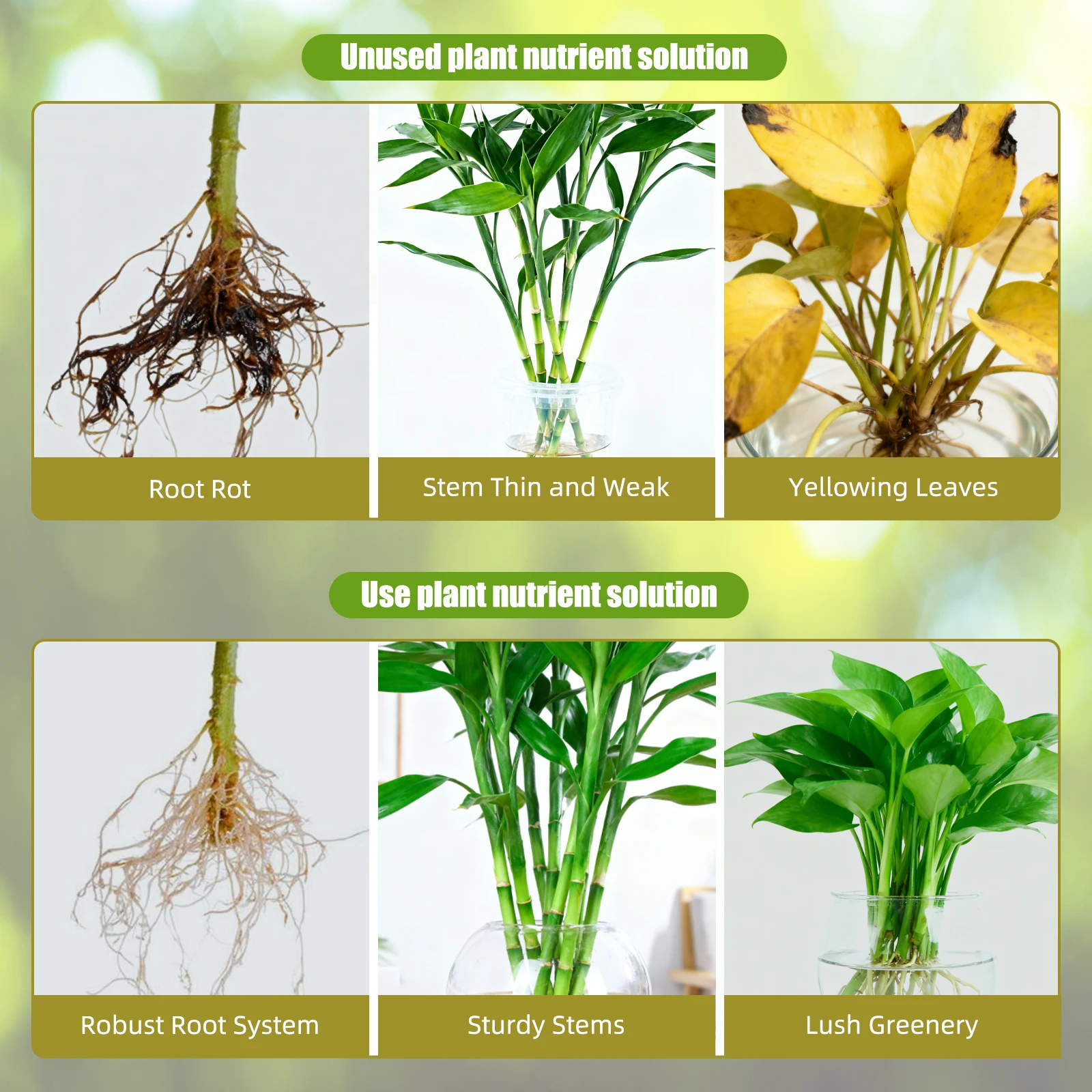 محلول المغذيات المائية A B الأ - مراجعة Nutrient Solution Ab وسعره
