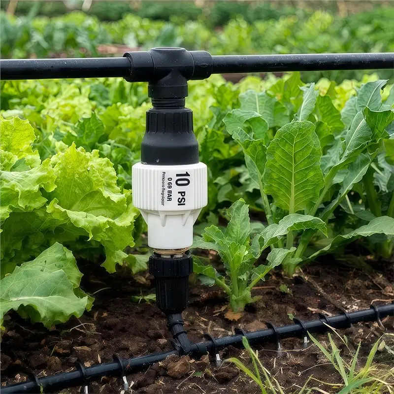 A02F-10 PSI Drip Irrigation Pressure Regulator 3/4 Inch Female Thread Garden Water Pressure Reducer For Lawn Drip System