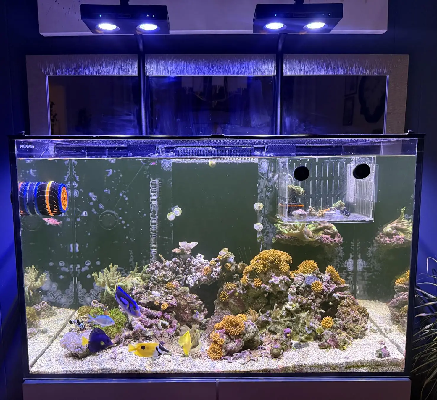 High Power DIY Spectrum 90W G5 Aqua Star Timer LED Aquarium Light Marine Saltwater Fish Tank Lamp Coral Reef LED