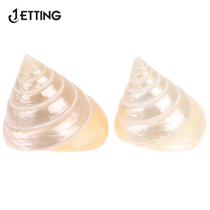 1pcs 5-6cm Natural Conch Shells Luminous Tower Snail Pearl Tower Snail Aquarium Landscaping Aquarium Home Furnishing Decoration