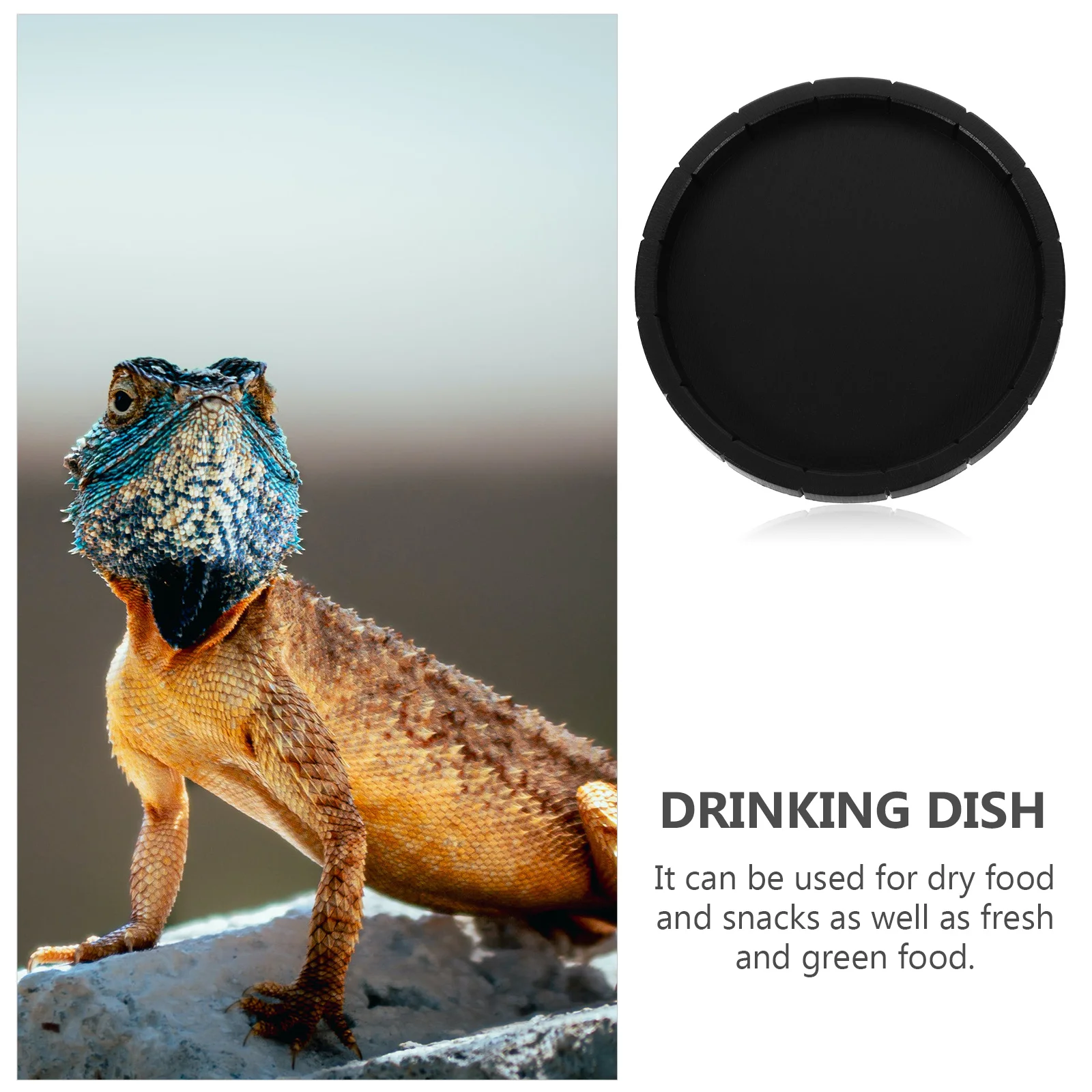 

2Pcs Round Black Pet Food Bowl Reptile Drinking Dish Crawler Supply Non Porous No Color Stain Easy for Home Small