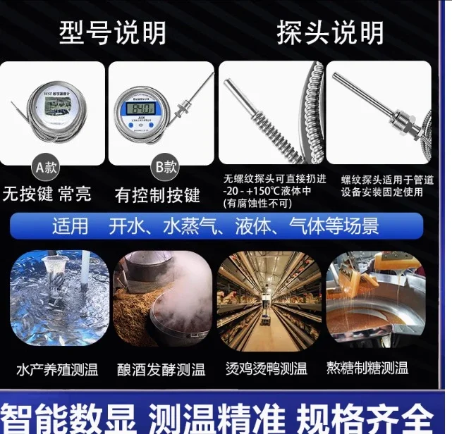 Digital thermometer with probe WST/DTM-491 high-precision electronic industrial waterproof digital water temperature gauge