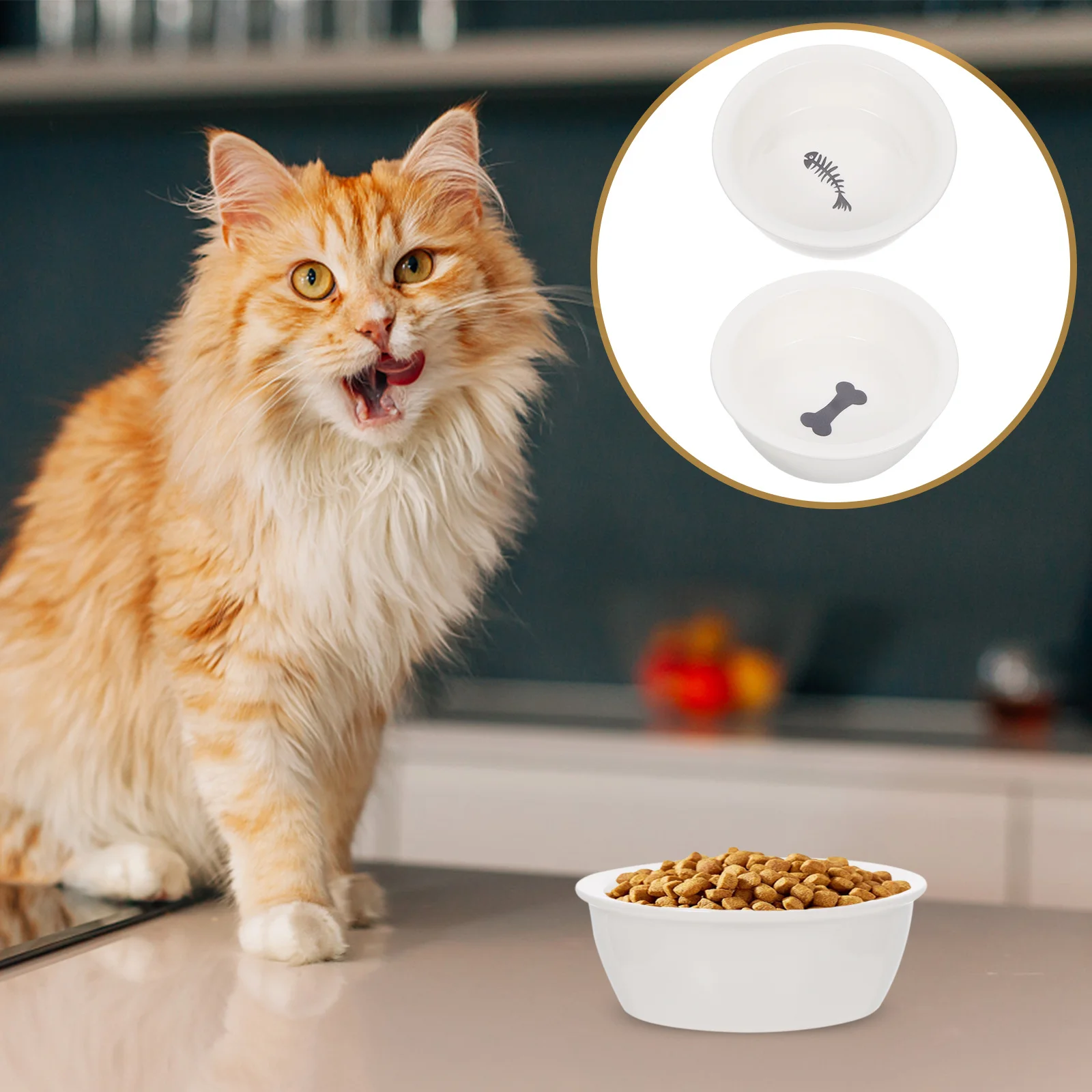 

2Pcs Double Ceramic Pet Bowls Premium Food and Water Feeder for Kittens Puppies Smooth Edges Easy Clean Decorative Cage